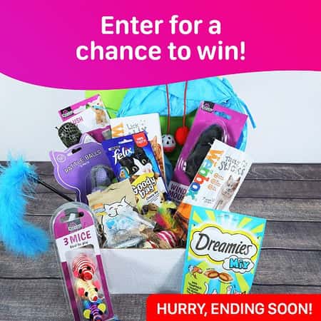 WIN this Luxury Cat Gift Box Hamper