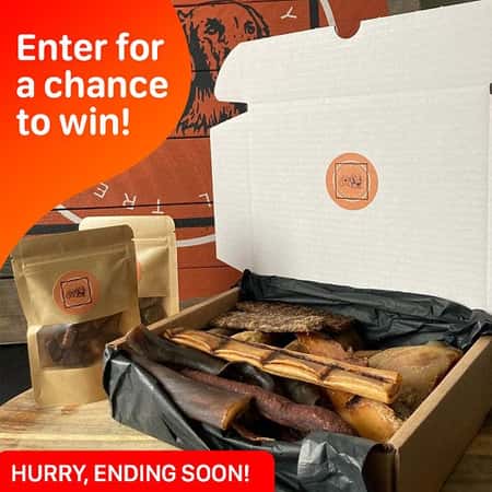 WIN this Ruff and Tough Long Lasting Dog Treat Box