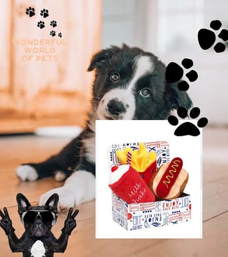 Hotdog Meal Deal Box (3 Toy Combo)