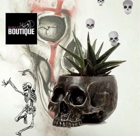 Skull Plant Pot