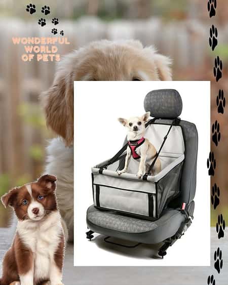Car Seat Dog Cradle