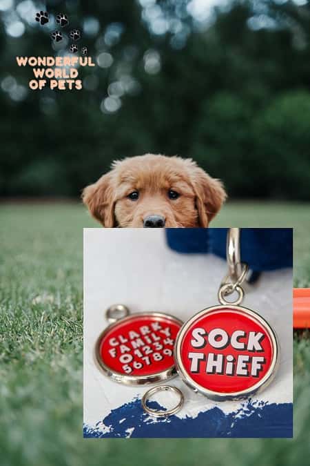 Sock Thief – Double Sided, Pet ID Tag – Choice of Colour and Font