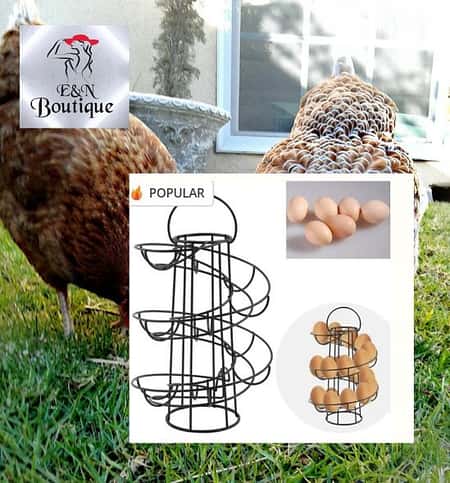 Metal Spiral Egg Stand