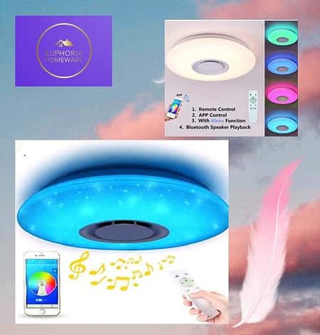 Ceiling Light with Smart Alexa WiFi Ceiling Lamp