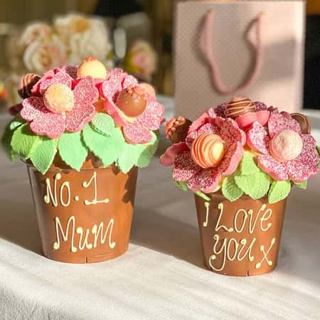 From £31.99 - Free UK Delivery - Pink Smash Chocolate Flower Pot Available in Regular or Large