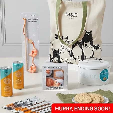 WIN the Ultimate M&S Cat Gift Bag