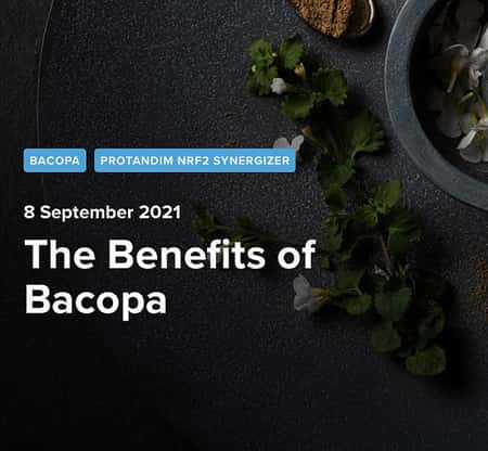 Benefits of Bacopa