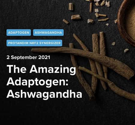 The Amazing Adaptogen: Ashwagandha