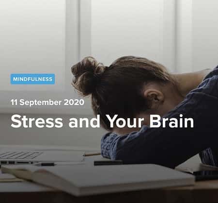 Stress is one factor that is believed to interrupt normal brain function. But why?