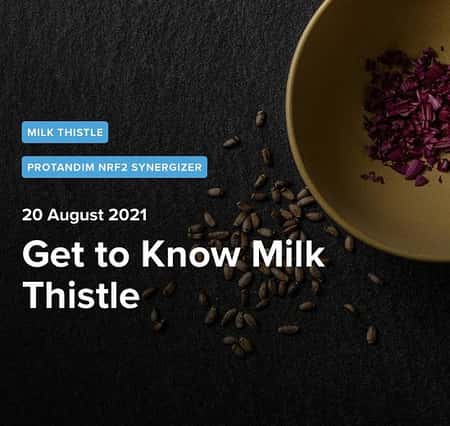 Get to Know Milk Thistle