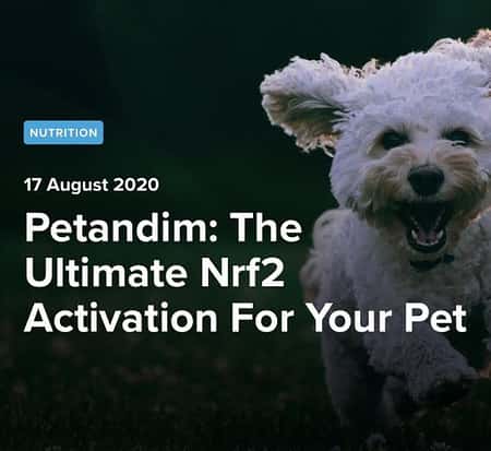 Petandim: The Ultimate Nrf2 Activation For Your Pet