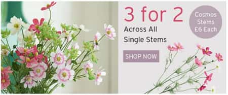 3 for 2 on Single stems until 30th June 2017