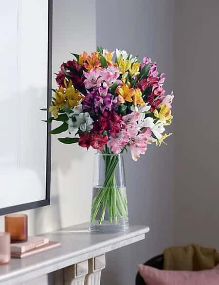Save £5 on selected Flowers