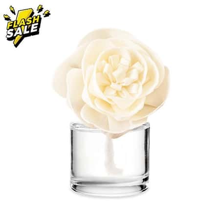 Berry Blessed - Buttercup Belle Fragrance Flower Was £19.50 Now £11.70