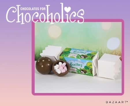 5584 Luxury Chocolate Bombe Duo with marshmallow centres with Spring Meadow Wrapper £3.50