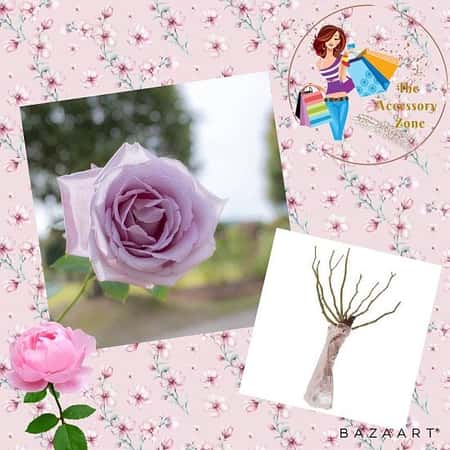 Rose 'Blue Moon' Bare Root £14.99