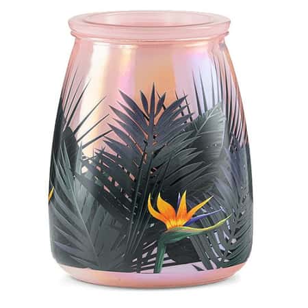 Birds of Paradise Warmer £67.00