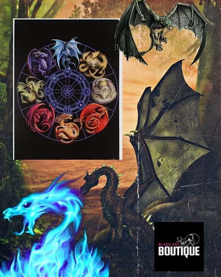 50x70cm Dragons of the Sabbats Canvas Plaque by Anne Stokes £26.99