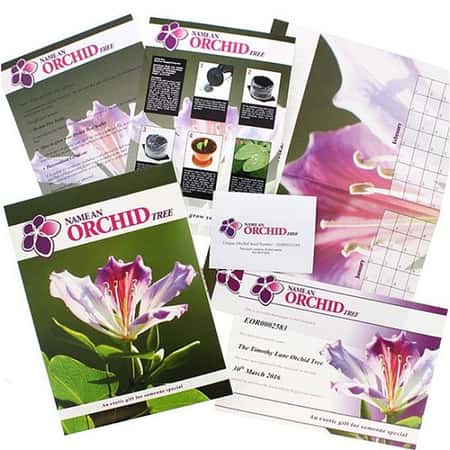 £22.99 - Free UK Delivery - Name An Orchid