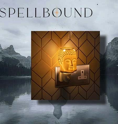 Plug In Buddha Warmer £19.95