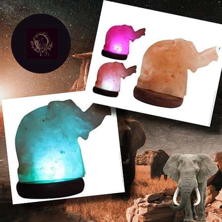 Elephant Salt Lamp Store/Little Witchlings (Kids Section) £16.00