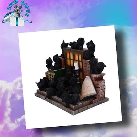The Witches Litter 24.8cm (Display of 36) £124.99