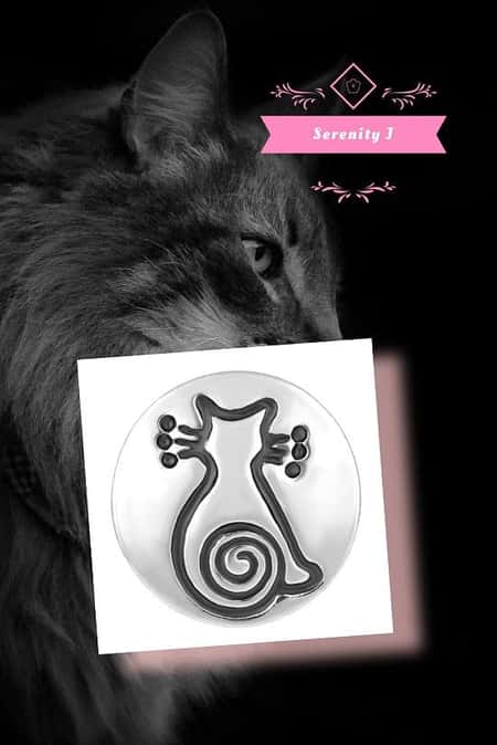 Silver Cat Snap Charm £5.95