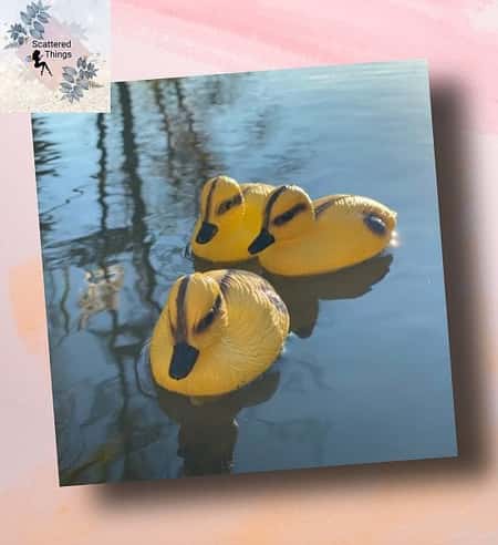 Yellow Ducklings (Set of 3) £11.58