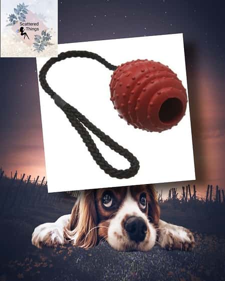 Red large solid tough hard rubber dog rope oval ball fetch toy £9.32