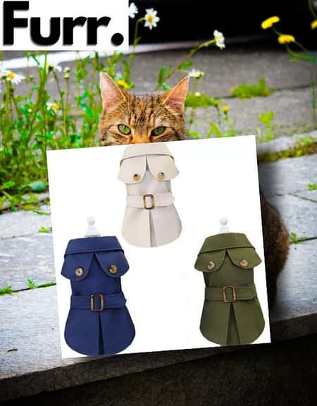 British Coat(Clothing For Kitties) £54.00