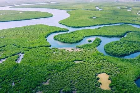 Brazil-Amazon, Savanna and Pantanal 3 ecosystems 8 days / 7 nights
