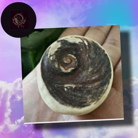 Shiva's Eye £9.99