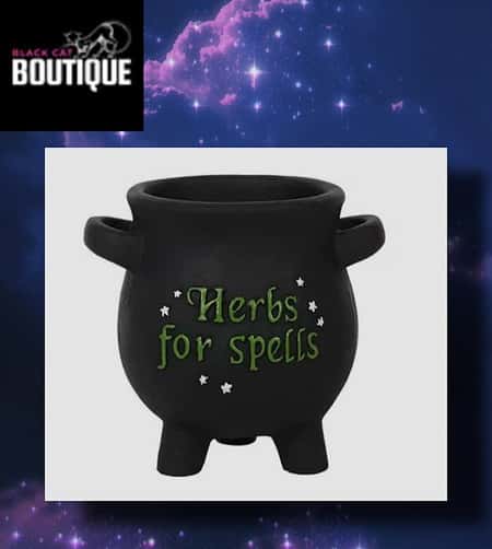 Small Herbs For Spells Cauldron Plant Pot £11.99