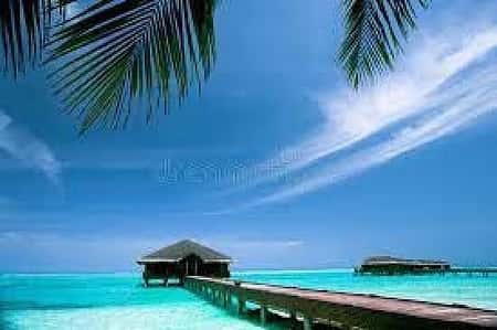 Maldives   Medhufushi Island Resort  (MAN) 7 Nights