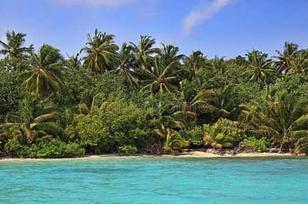 MALDIVES Flitheyo Island Resort (MAN) Honeymoon for 2 Adult 5 Nights