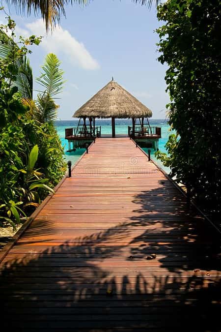 Early Bird and Long stay offer, minimum 4 Month before Filitheyo Island Resort 7 NIGHTS (MAN)