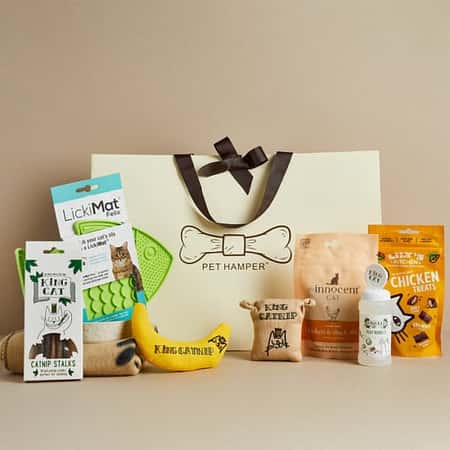 WIN this Luxury Cat Hamper