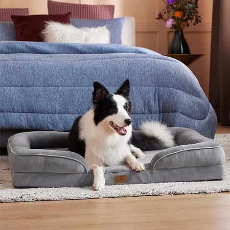 WIN this Luxury Bedsure Dog Sofa Bed