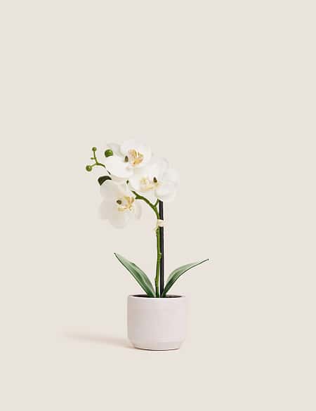 30% off Artificial plants