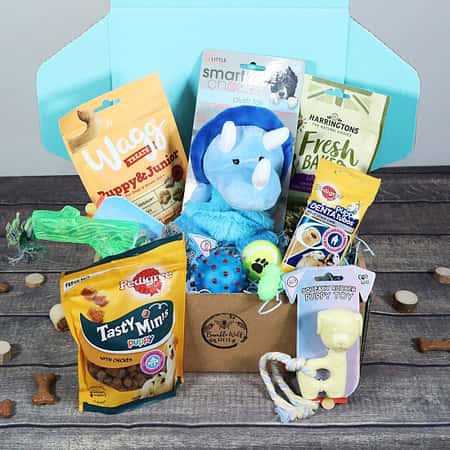 WIN this New Puppy Gift Box Hamper