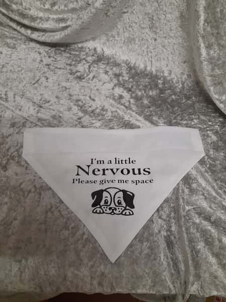 Over the collar dog bandana in White cotton will be going to one lucky winner.