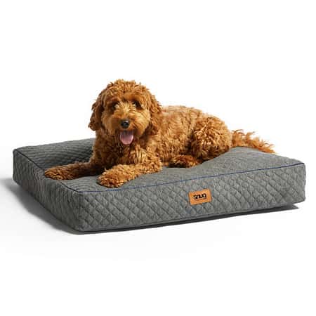 Pet Beds - Up to 50% OFF. Shop Now!