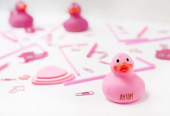 Gifts under £10 - ENGRAVED RUBBER DUCKS £4.00!