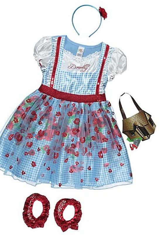 World Book Day - The Wizard of Oz Dorothy - £15
