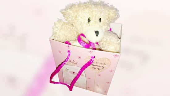 WIN a Teddy Bear in a Bag for Mother's Day