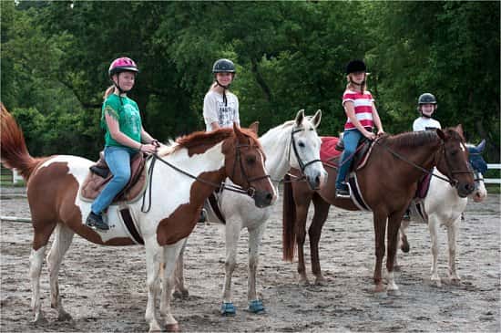 SAVE 17% on a One Hour Horse Riding Experience - UK Wide!