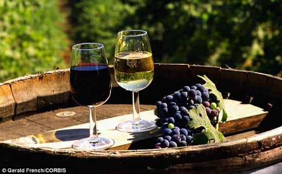 30% OFF Vineyard Tour, Lunch and Wine Tasting & Lunch for 2 in East Sussex!