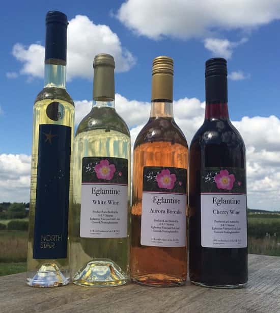A range of stunning English wines from Nottinghamshire