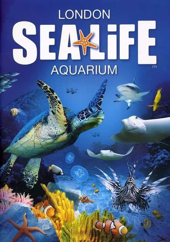 25% OFF - SEA LIFE London Aquarium Tickets & Photobook!