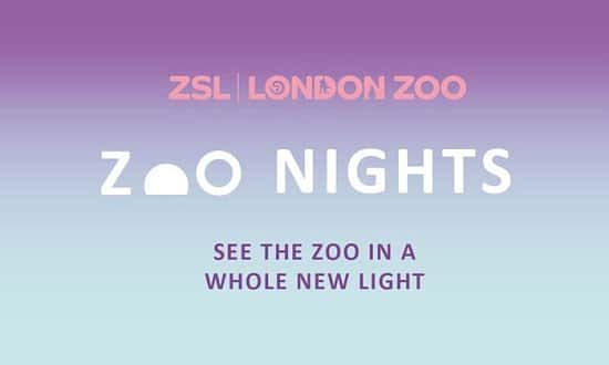 SAVE OVER 10% on ADULT ONLY London Zoo - Zoo Nights tickets!